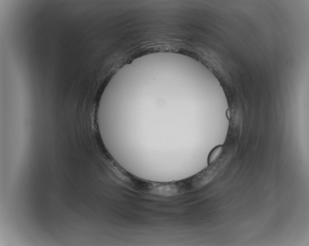 X0000111530185200907141304