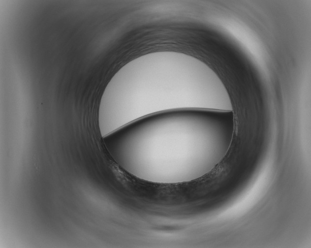 X0000111530190200907141304