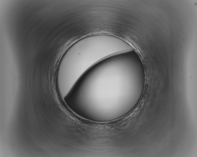 X0000111530193200907141303