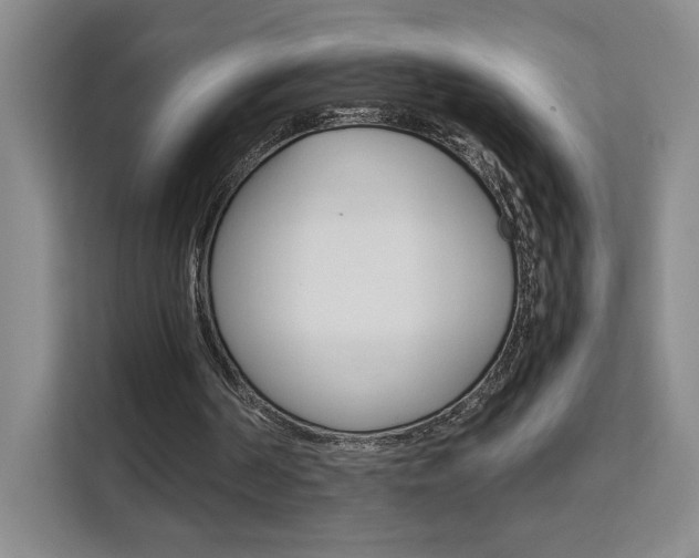 X0000111530194200907141303