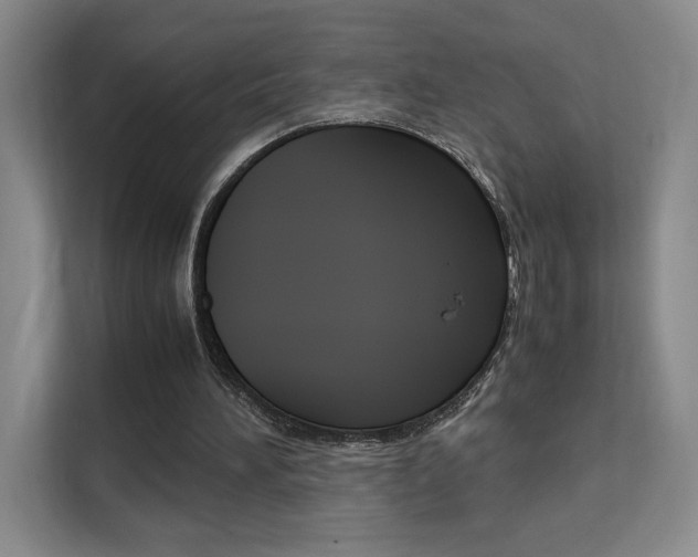 X0000111530196200907141303