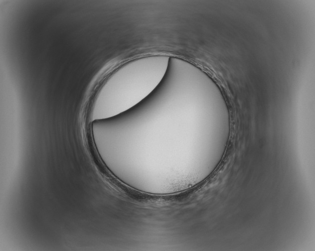 X0000111530197200907141303