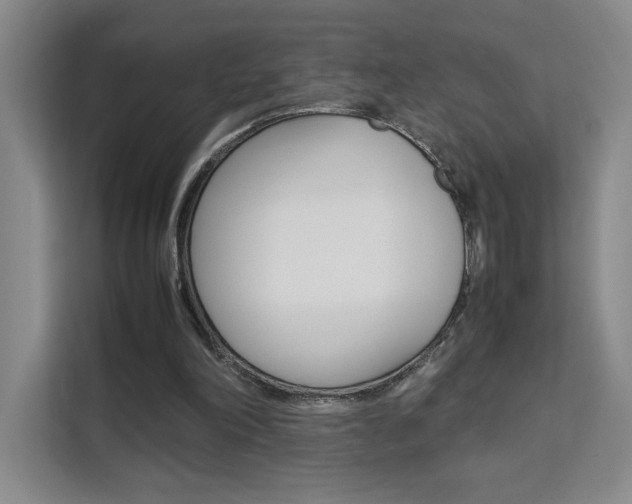 X0000111530198200907141303