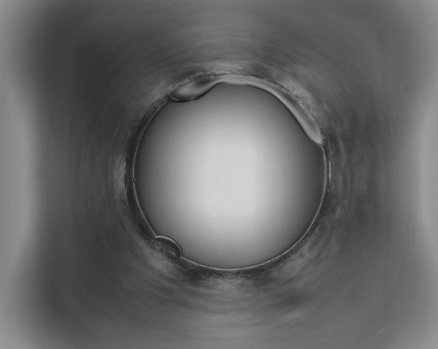 X0000111530201200907141303