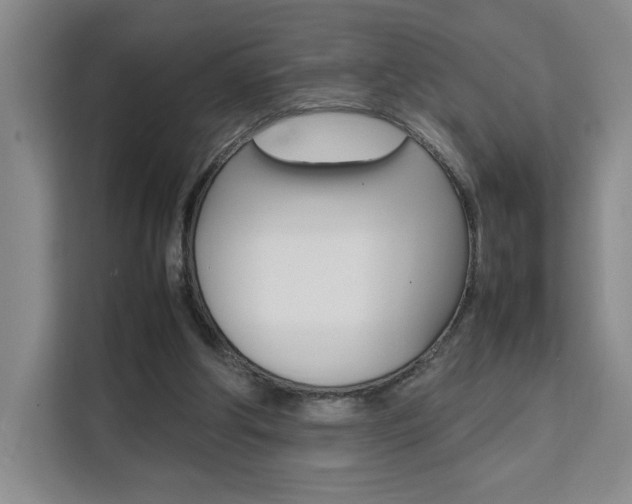 X0000111530202200907141303