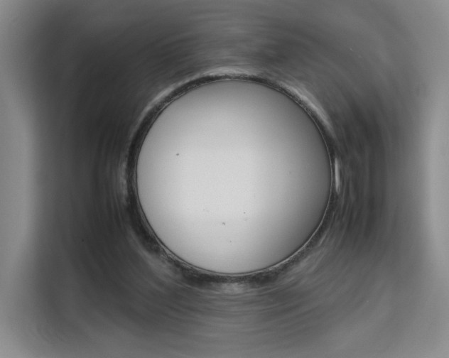 X0000111530204200907141303