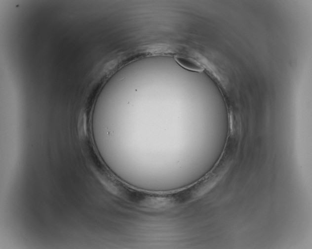 X0000111530205200907141303