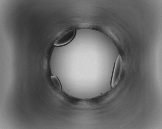 X0000111530211200907141303