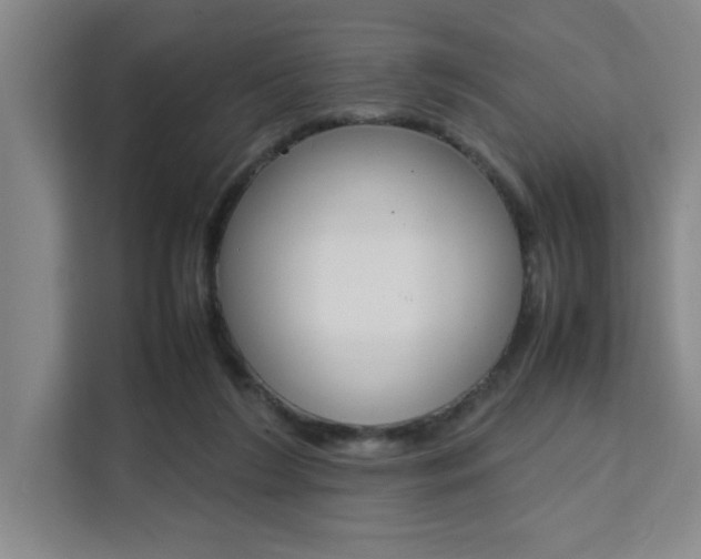 X0000111530212200907141303