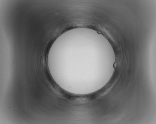 X0000111530213200907141303