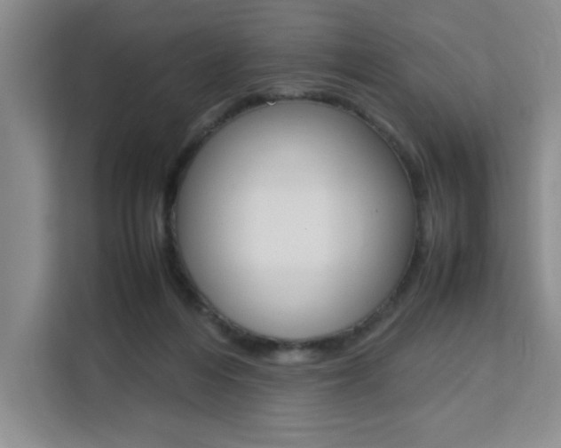 X0000111530216200907141303