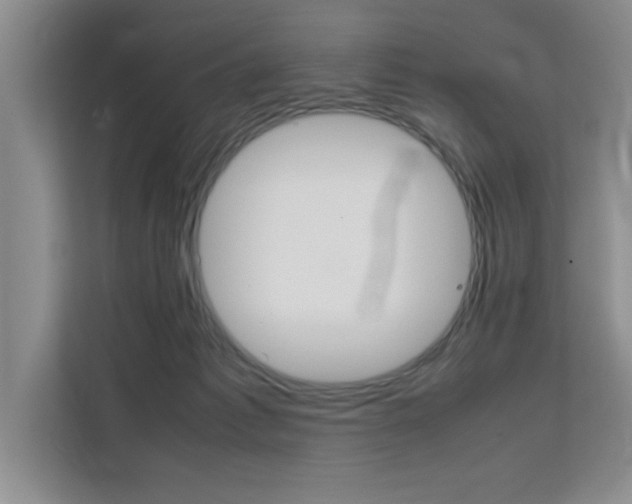 X0000111530221200907141303