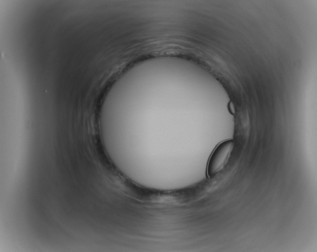 X0000111530224200907141303