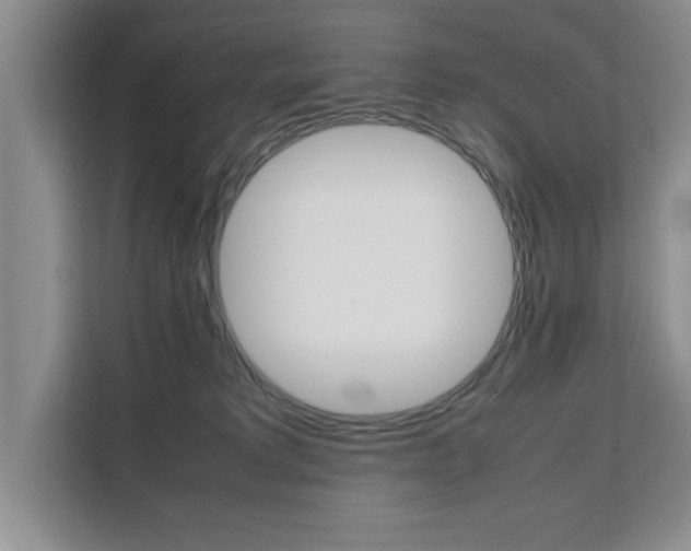 X0000111530229200907141303