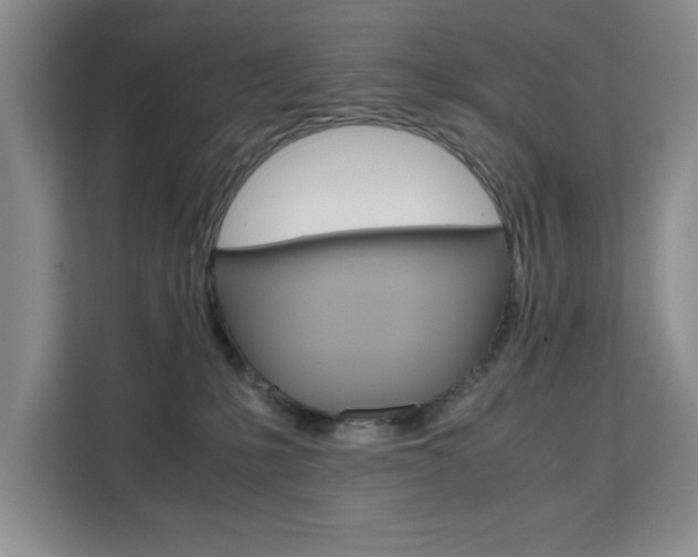 X0000111530231200907141303