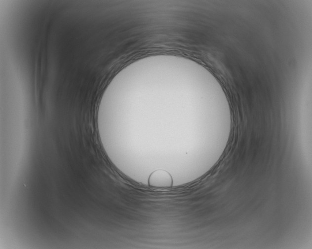 X0000111530233200907141303