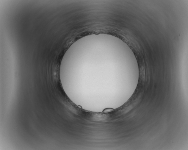 X0000111530234200907141303