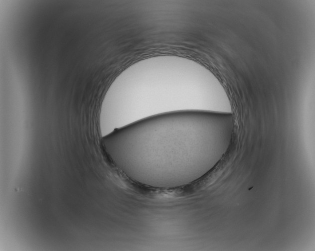 X0000111530235200907141303