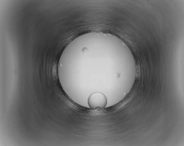 X0000111530238200907141303