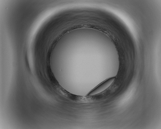 X0000111530239200907141303