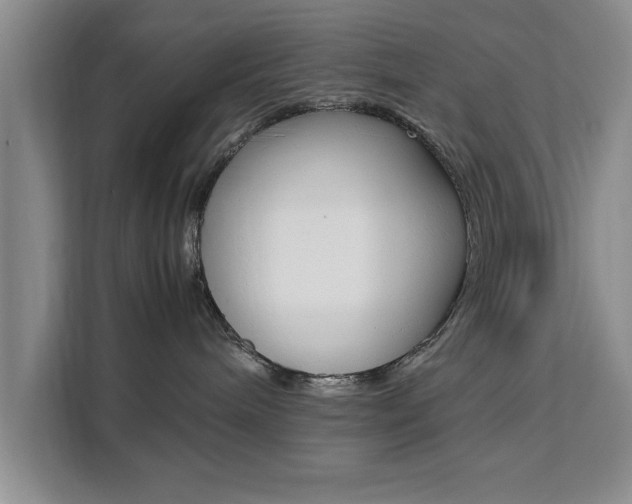 X0000111530240200907141303