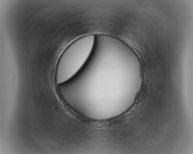 X0000111530241200907141302