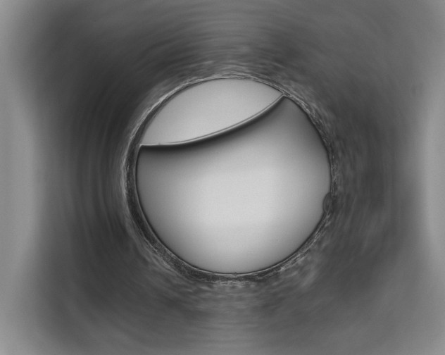 X0000111530242200907141302