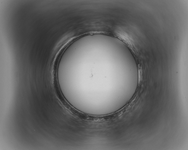 X0000111530243200907141302