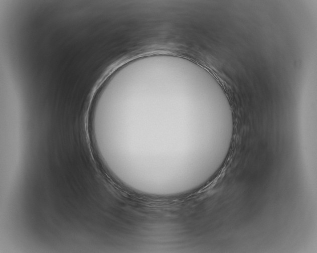 X0000111530244200907141302