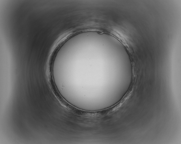 X0000111530245200907141302