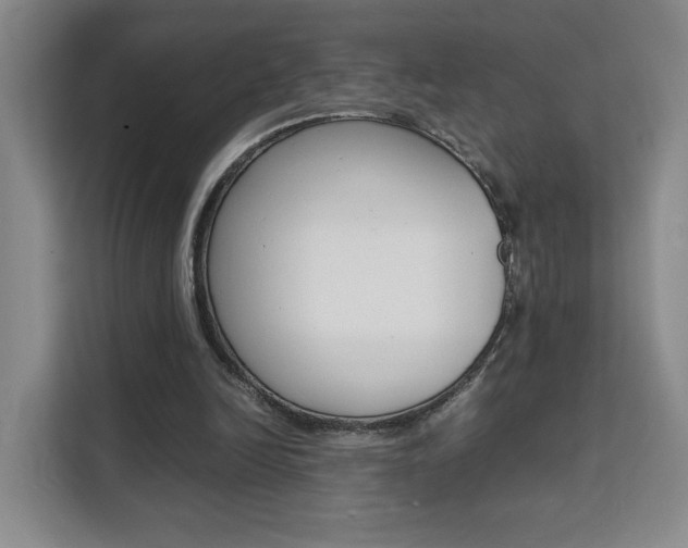 X0000111530246200907141302