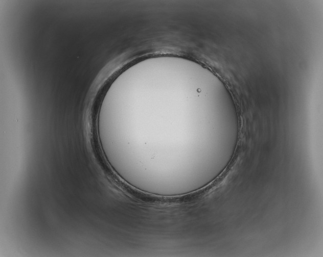 X0000111530247200907141302