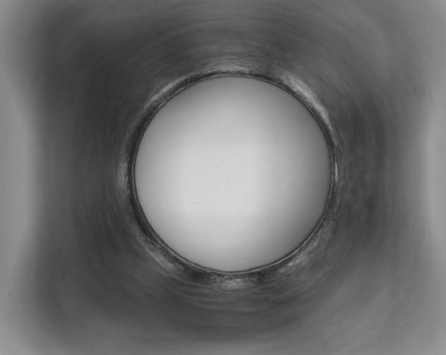 X0000111530249200907141302