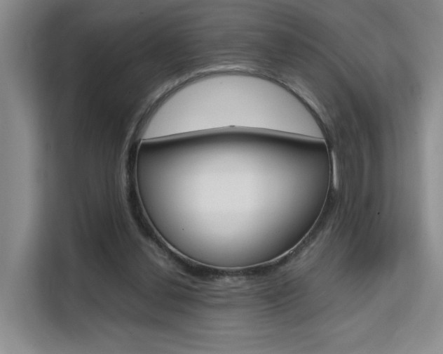 X0000111530252200907141302