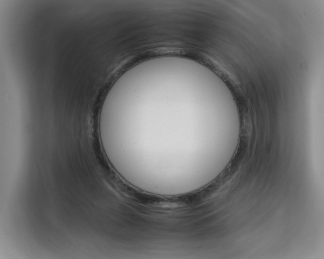 X0000111530255200907141302