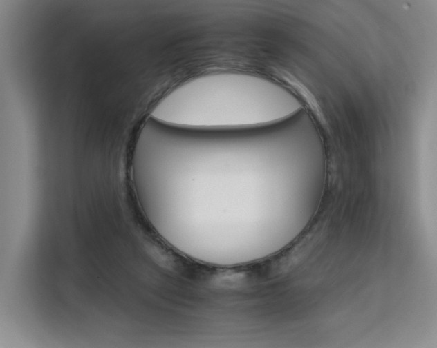 X0000111530257200907141302