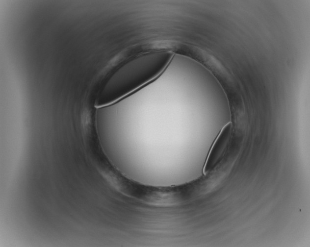 X0000111530260200907141302