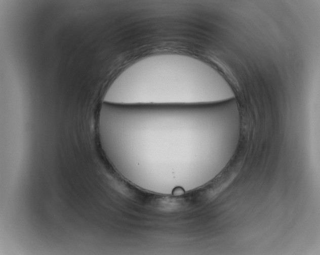 X0000111530261200907141302