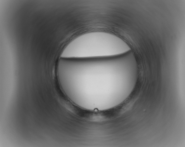 X0000111530262200907141302