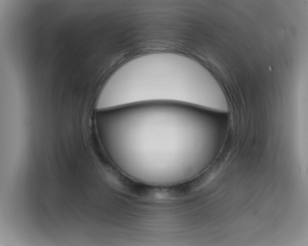 X0000111530264200907141302