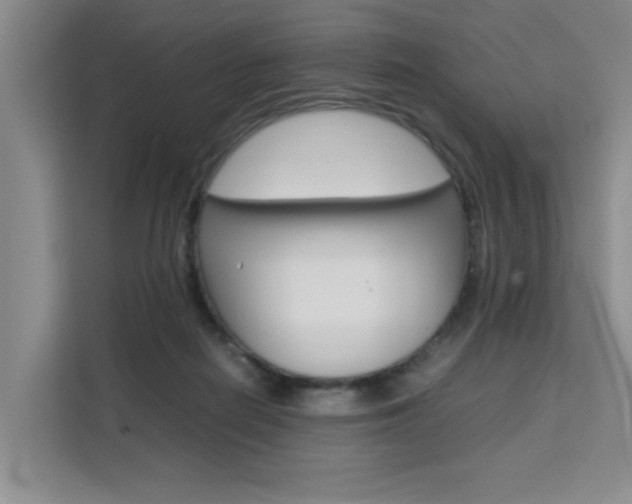 X0000111530266200907141302