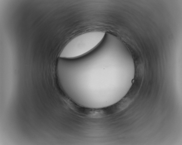 X0000111530274200907141303