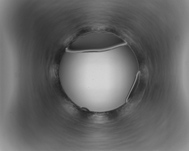 X0000111530280200907141303