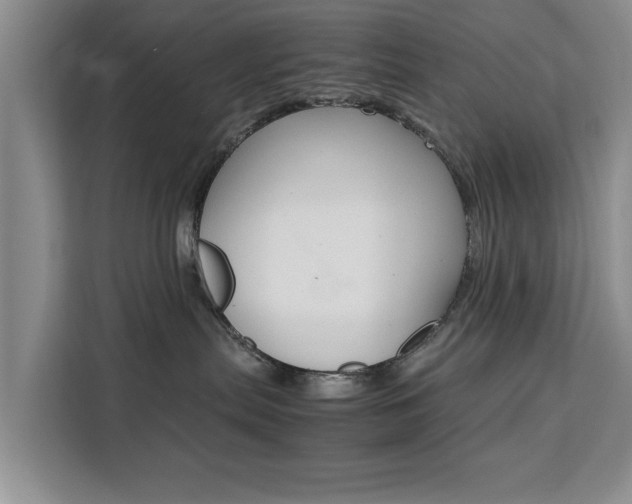 X0000111530287200907141303