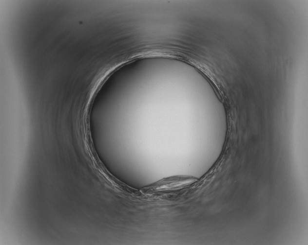 X0000111530289200907141302