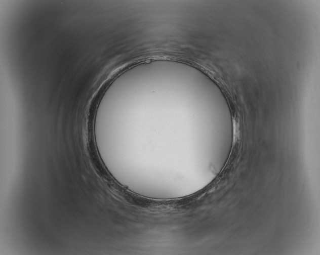 X0000111530291200907141302