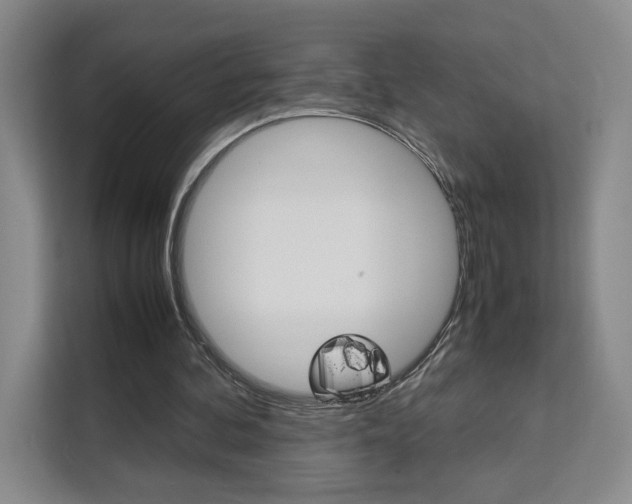 X0000111530292200907141302