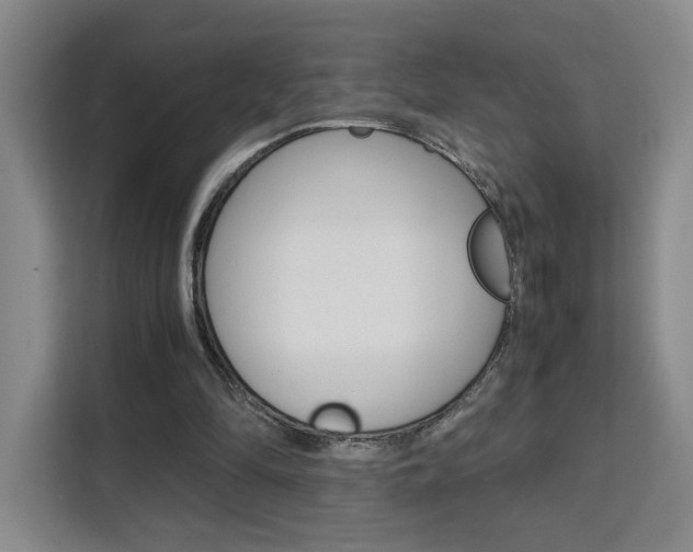 X0000111530294200907141302