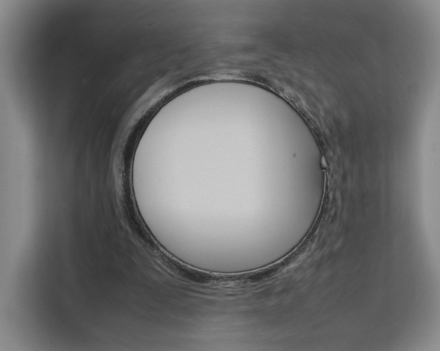 X0000111530295200907141302