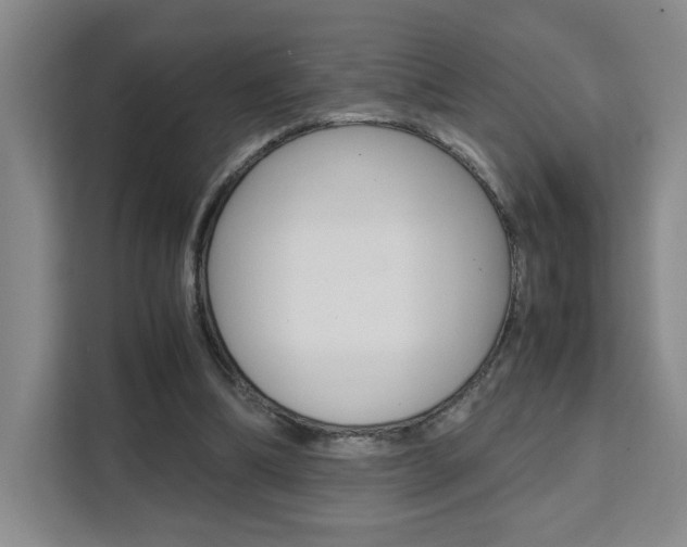 X0000111530298200907141302